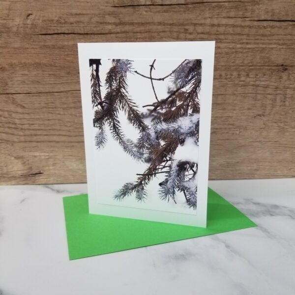 Evergreen Trees Greeting Card | The Eclectic Chic Boutique