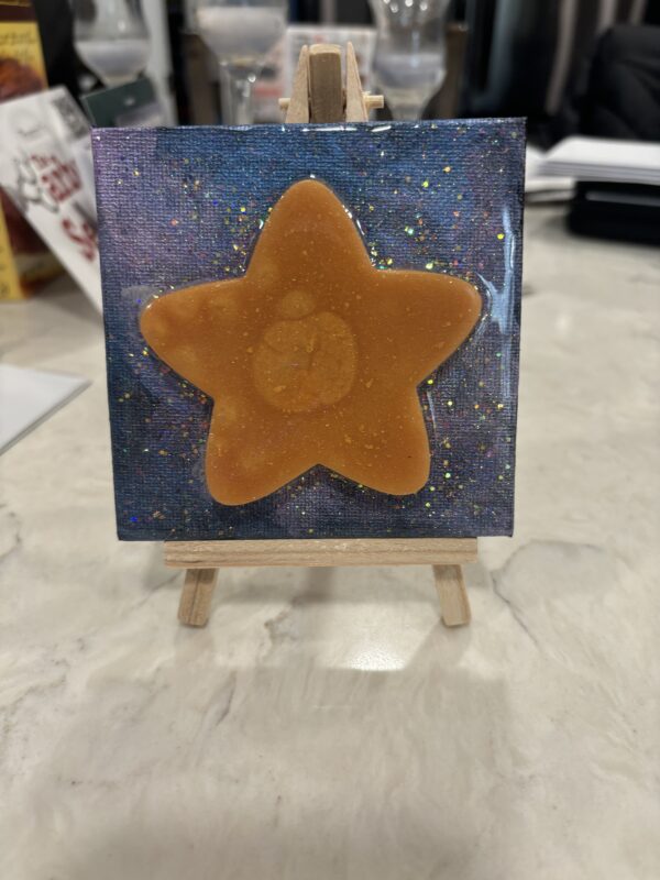 A Night Star Resin Canvas Art