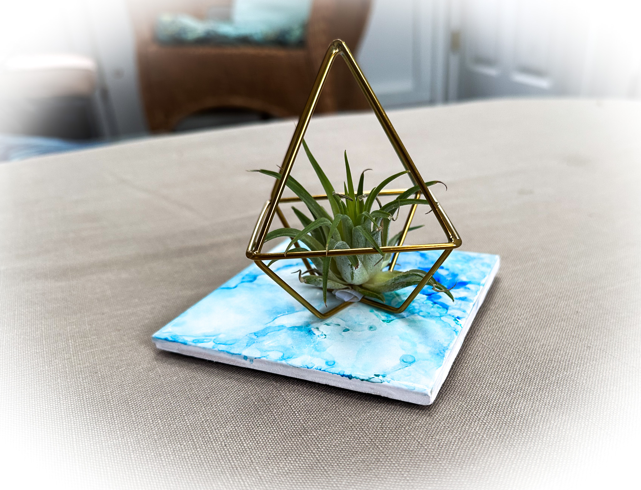 blue trivet and gold air plant 3