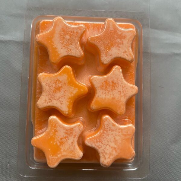 Eucalyptus Wax Melts| "Mission to Mars" - Image 2