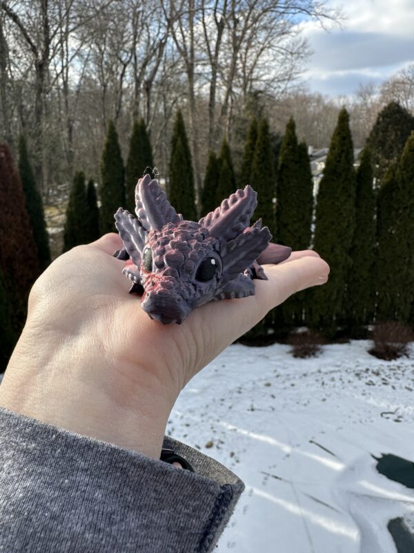 Small Axolotl Dragon - Image 7