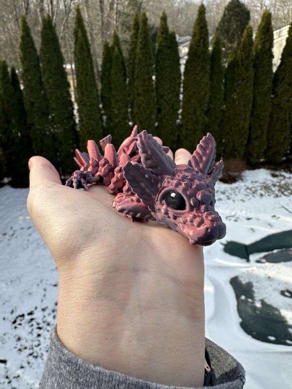 Small Axolotl Dragon - Image 6