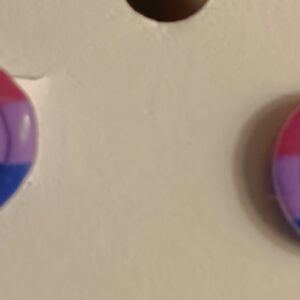 Bi Flag studs