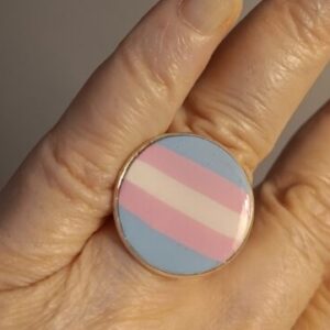 Trans Flag polymer clay ring in Stainless base