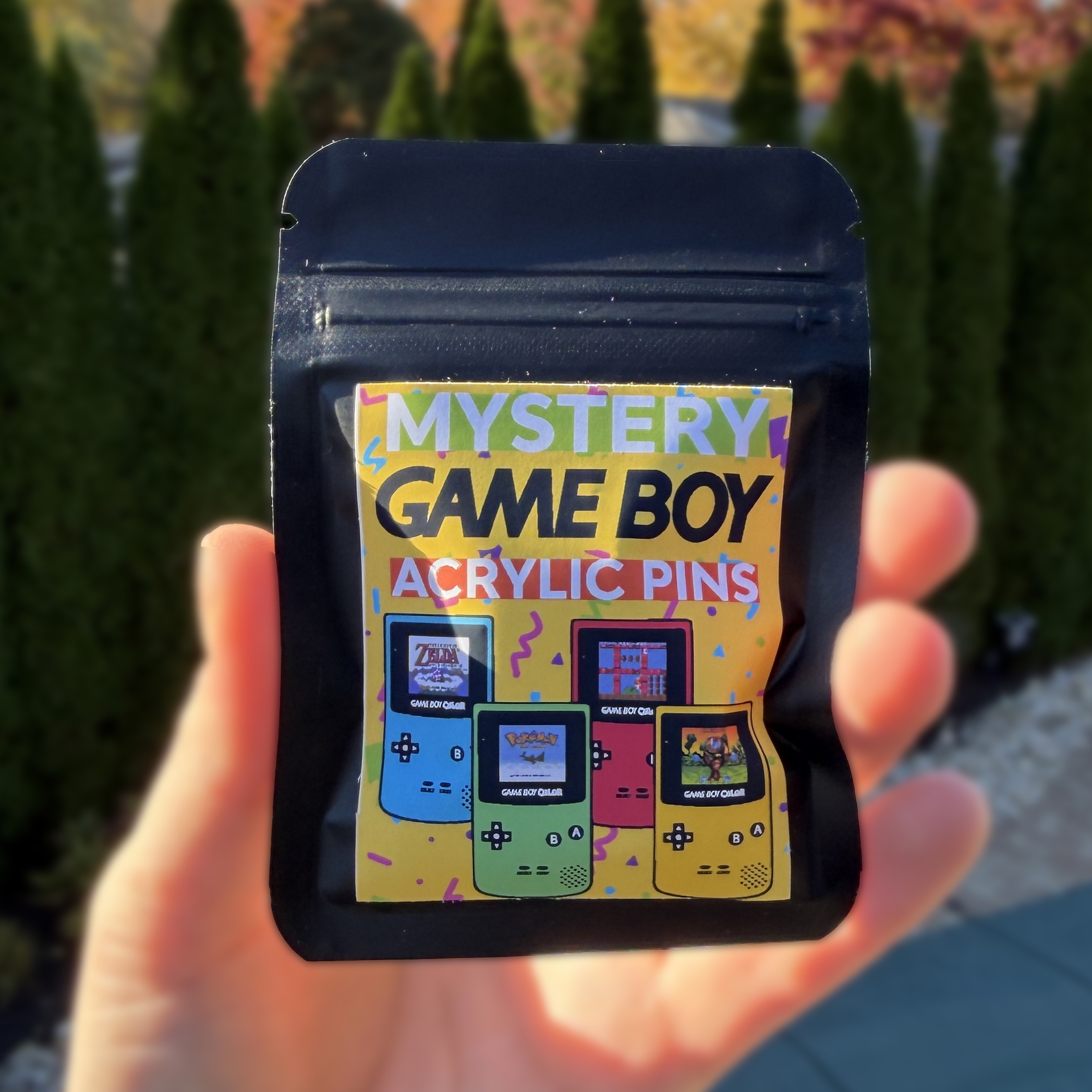 Mystery Game Boy Pins