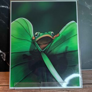 Frog on a Leaf - 8.5x11" Art Print